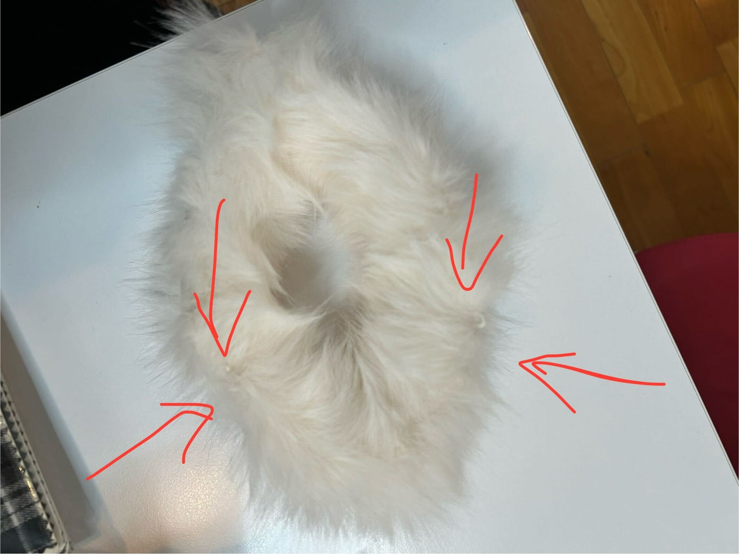 【アウトレット】Snow Romance リボンのスイートコート・即納・オフホワイト・Mサイズ