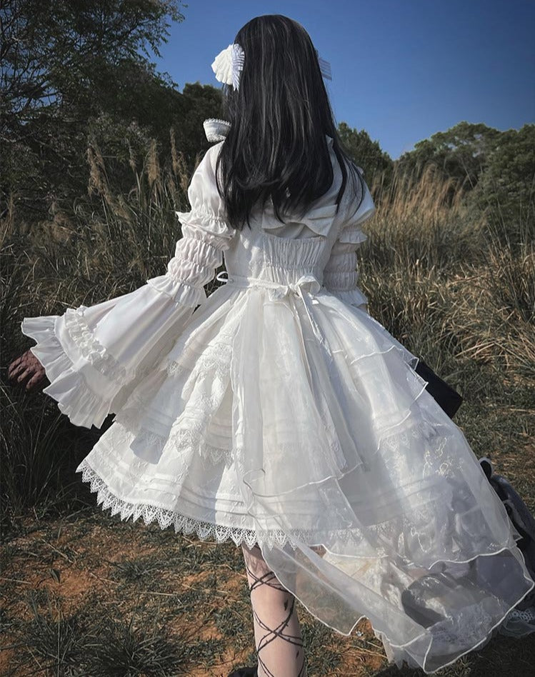 Prisoned Swan Lake Swan and Black Swan Jumper Skirt