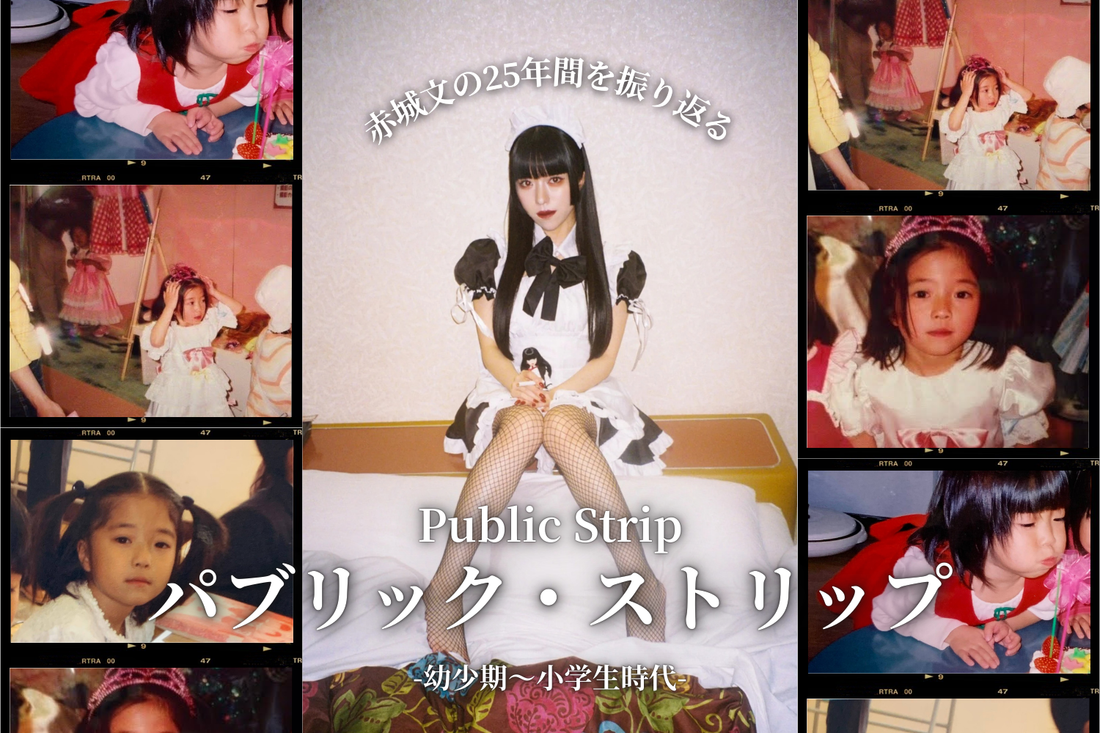 「パブリック・ストリップ　〜赤城文の25年間を振り返る〜」