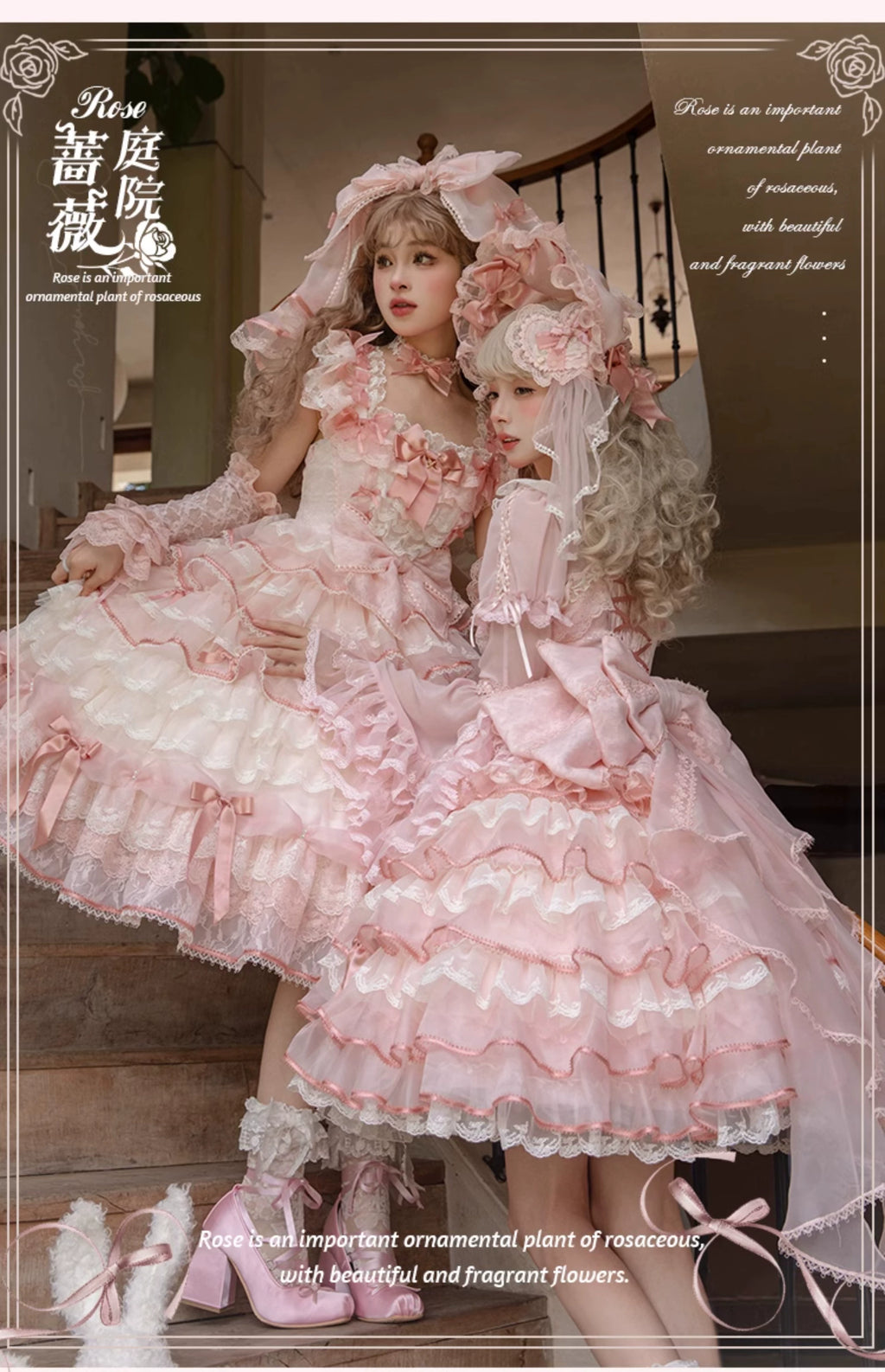 [Pre-orders available until 10/16] Rose Courtyard Lace and Ribbon Dress
