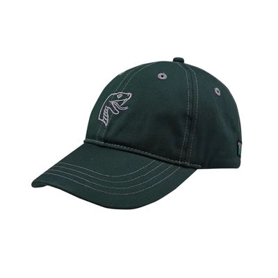 Hogwarts School of Witchcraft and Wizardry cap [dormitory color]