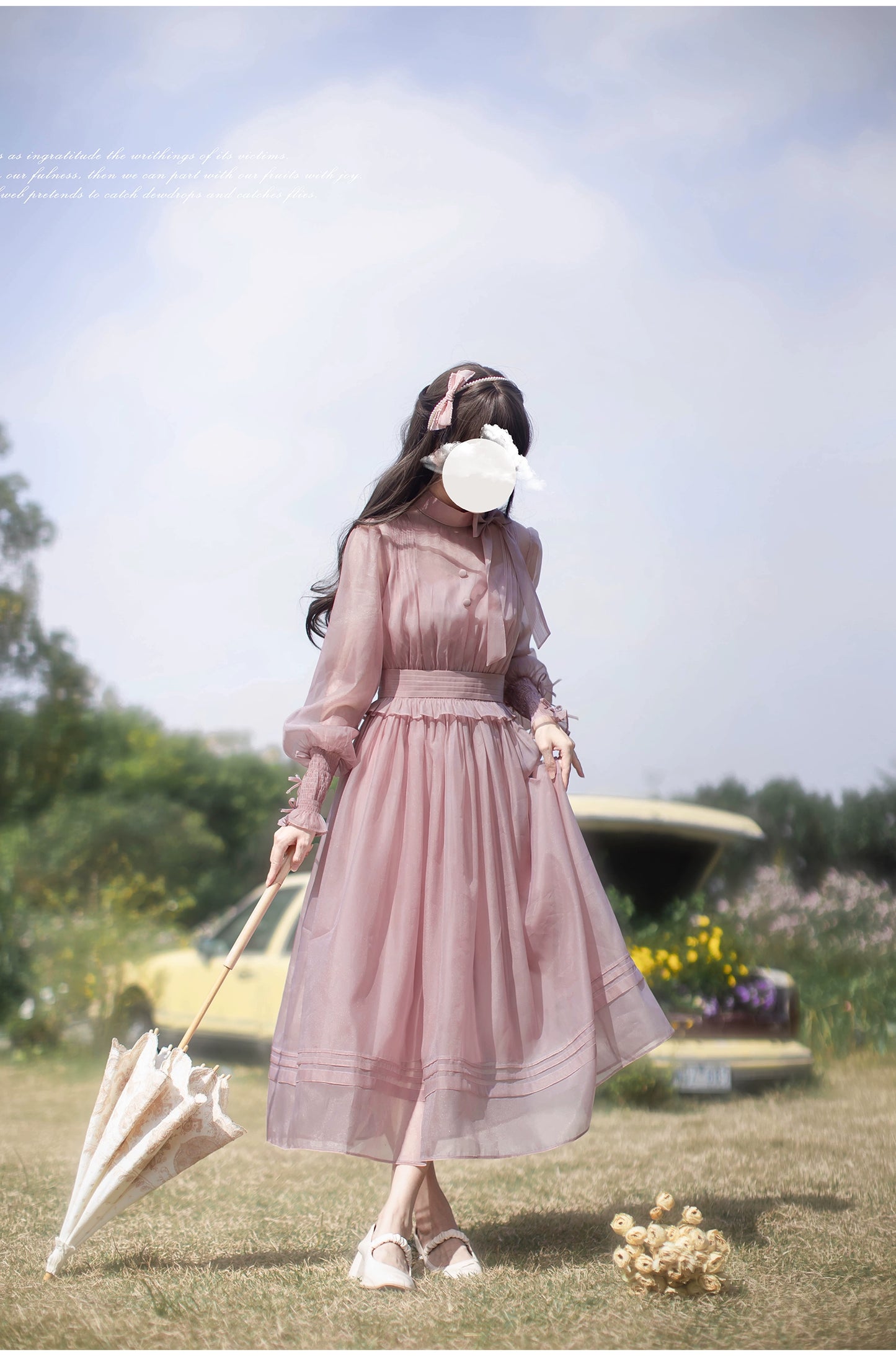 Dusty pink sheer ribbon dress