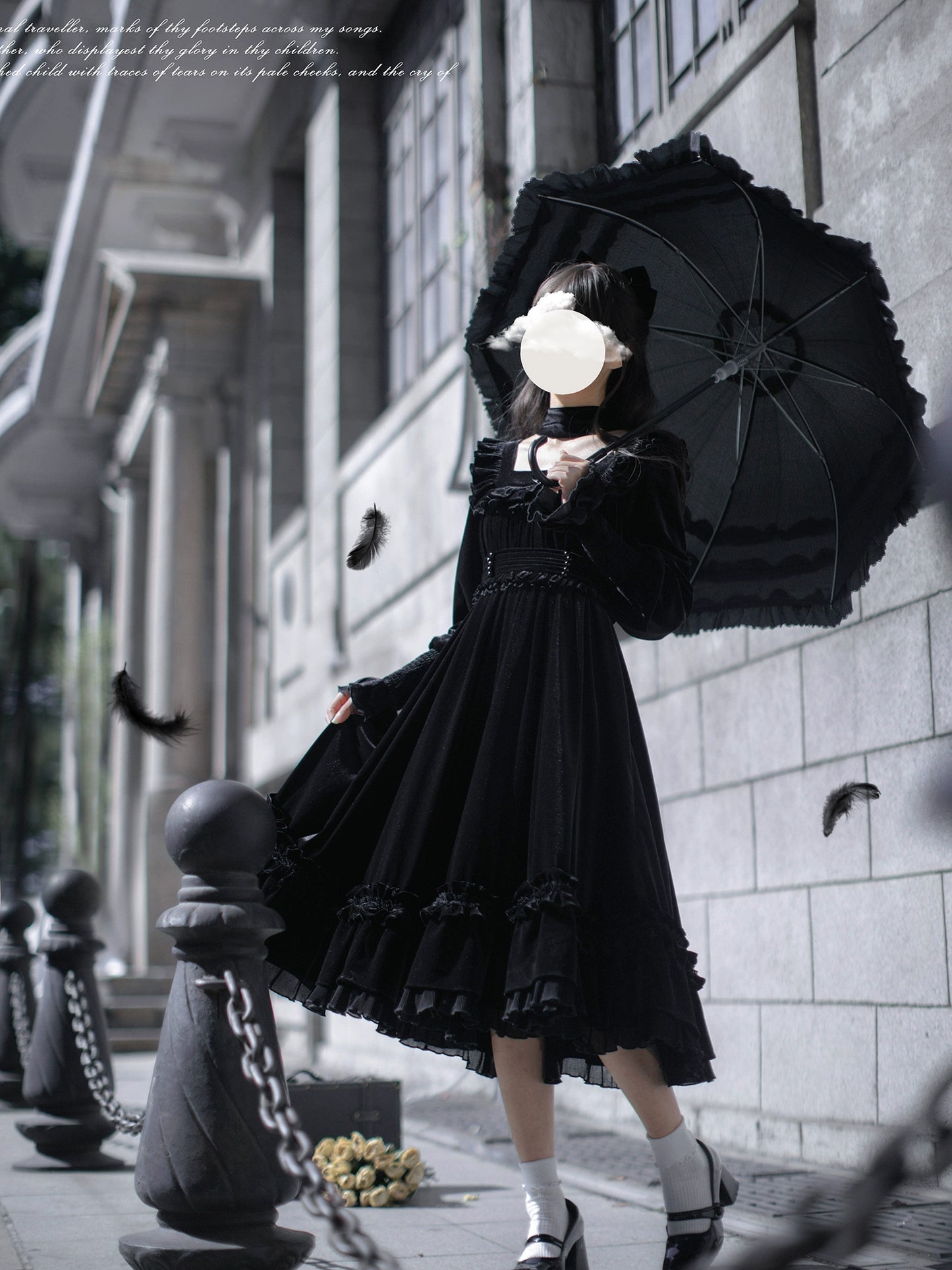 Black swan velvet frill dress