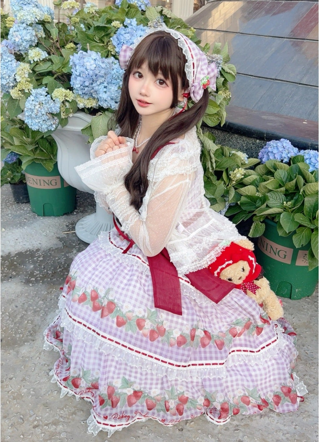 [Pre-orders accepted until 3/5] Have a Picnic, May Strawberry Gingham Check Jumper Skirt