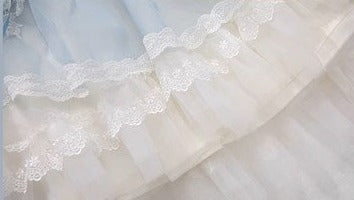 Antique Porcelain Plates スカート